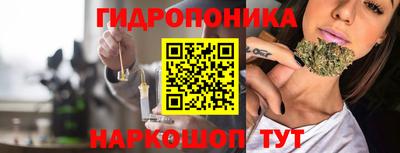 гашиш Гай