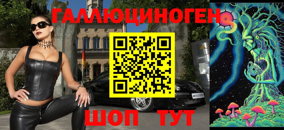 купить наркотики цена  Вход с VPN  Вологда  Псилоцибиновые грибы Psilocybe 